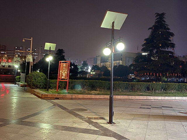 ̫����ͥԺ��